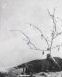 MOSTYN | Anselm Kiefer: ARTIST ROOMS ON TOUR WITH THE ART FUND [institutional leadership]