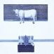 MOSTYN | Radovan Kraguly: The Milky Way [art management, institutional leadership]