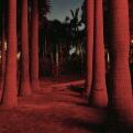 QUAD | Dinu Li: Yesterday is History, Tomorrow is Mystery [curating]