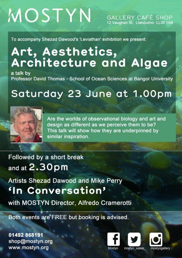 Art, Aesthetics, Architecture and Algae | a talk by Professor David Thomas