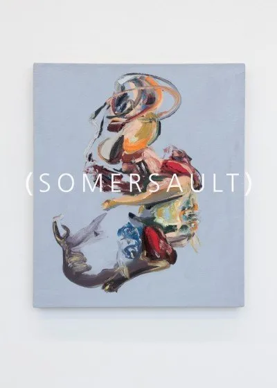 Matteo Fato - Somersault - Galleria Michela Rizzo Venezia 2017