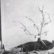 MOSTYN | Anselm Kiefer: ARTIST ROOMS ON TOUR WITH THE ART FUND [institutional leadership]
