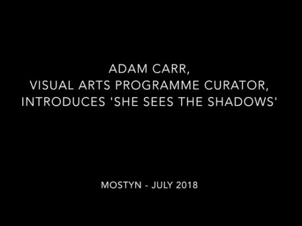 MOSTYN x DRAF Exhibition | Adam Carr and Olivia Lehay in Conversation