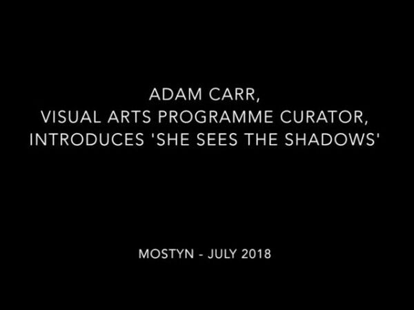 MOSTYN x DRAF Exhibition | Adam Carr and Olivia Lehay in Conversation